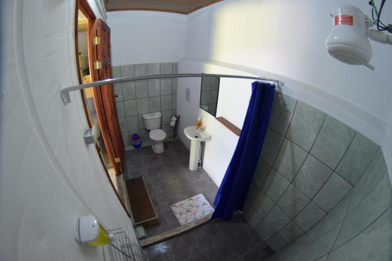Arenal Container Hostel Ла Фортуна Экстерьер фото