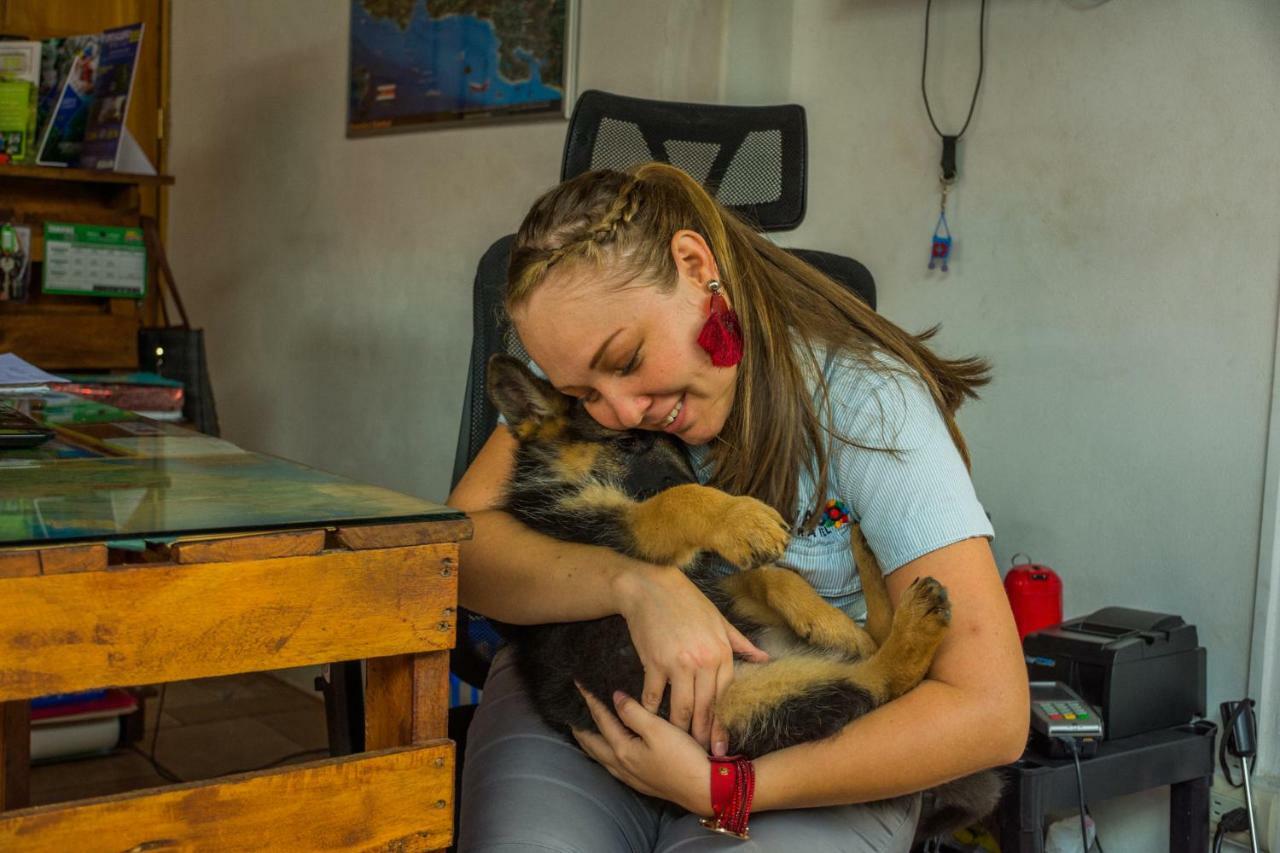 Arenal Container Hostel Ла Фортуна Экстерьер фото
