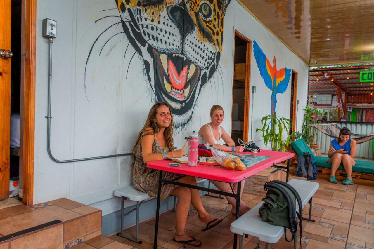 Arenal Container Hostel Ла Фортуна Экстерьер фото